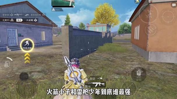 和平精英辅助做什么（和平精英辅助什么最稳定）